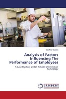 Geoffrey Musera | Analysis Of Factors Influencing The Performance Of Employees