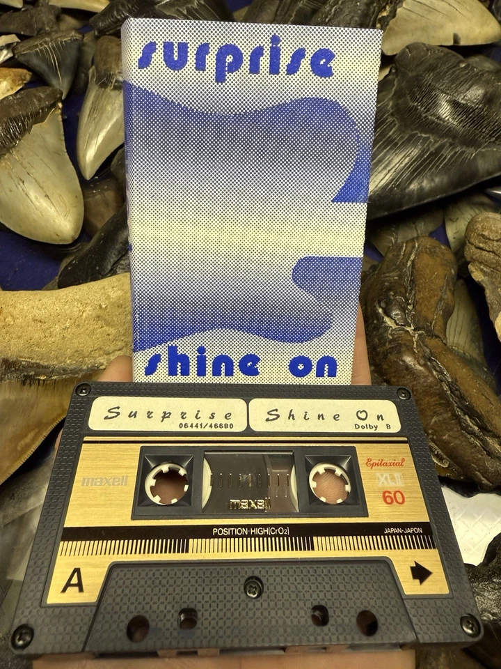 1987 SURPRISE SHINE ON DEMO AOR HARD ROCK CASSETTE GERMANY RARE - Imagem 2 de 4