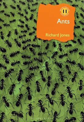 Ants
