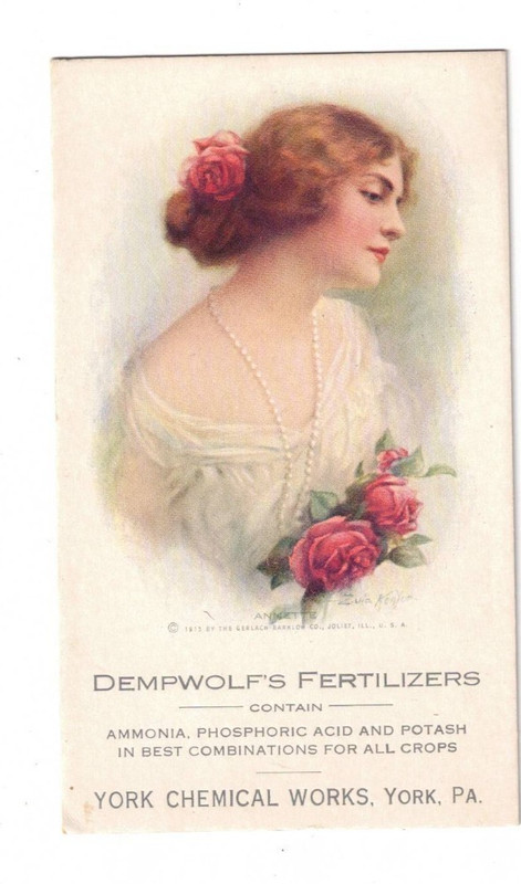 1913 Ink Blotter Advertising York, PA Dempwolf's Fertilizers ~ Zola Kenyon Art