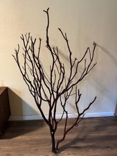 5X3X3.5 FT NATURAL RED Manzanita Tree branch for birds and reptiles