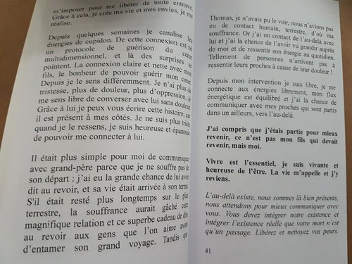 LIVRE LIEN AU DELA DE LA VIE AUDE LE GUEVEL médium ésotérisme défunt méditation - Imagen 4 de 10