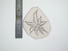 vtg 1960s 1970s Tattoo Flash acetate stencil Pot Leaf 3 dimensional v5 WEED2