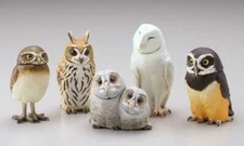 Kaiyodo Capsule Q Museum Mini Figure Owls 2 Set of 5 import Japan 2023