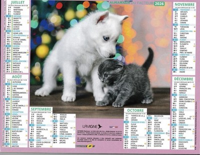 Kalender Almanach Faktor 2026 Dep. 81 Welpen/Kätzchen