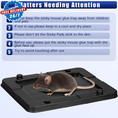 Jambobrat Raps Mice Traps 16 Pack Jumbo Rat & Mouse Glue Traps, Larger And Heavy Duty ...