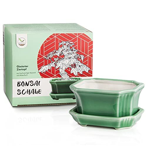 Bonsai vaso (piccolo) in ceramica con sottovaso in verde giada - vaso (h4b)
