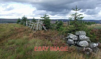 FOTO KLEINER HAUFEN UND GRENZLINIE AM EARL'S SEAT AM RANDE DES KIELDER FORES
