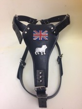 British Bulldog leather dog harness