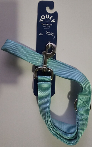 YOULY The Classic Turquoise  Webbed 6 Foot Nylon Dog Leash, Medium/Large.