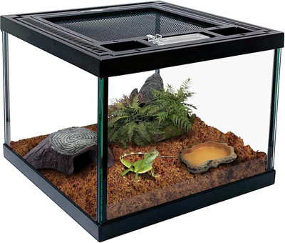 Mini Reptile Glass Terrarium Tank 8 * 8 * 6'' Full View, Amphibians Box Habitat E