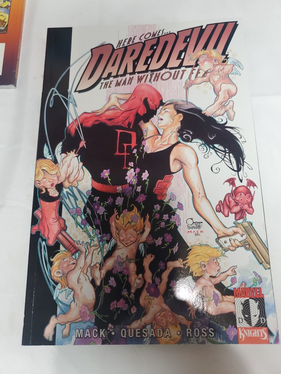 Daredevil: Parts of a Hole (2002, Marvel Knights TPB | eBay