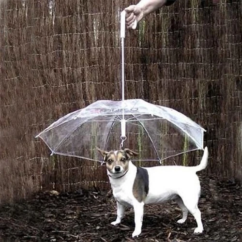 Outdoor transparenter Haustierschirm für kleine Hunde Regenausrüstung hält Haustier trocken nützlich - Bild 4 von 10