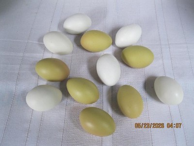 A Dozen Vintage Ceramic Brown & White Eggs Realistic Natural Country Farm Fresh