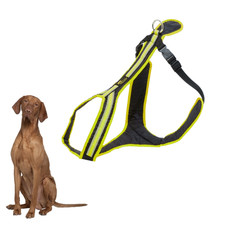Führgeschirr, Zuggeschirr Safety Dogsport Mantrailing | 50% | Gr. XL, Mini II