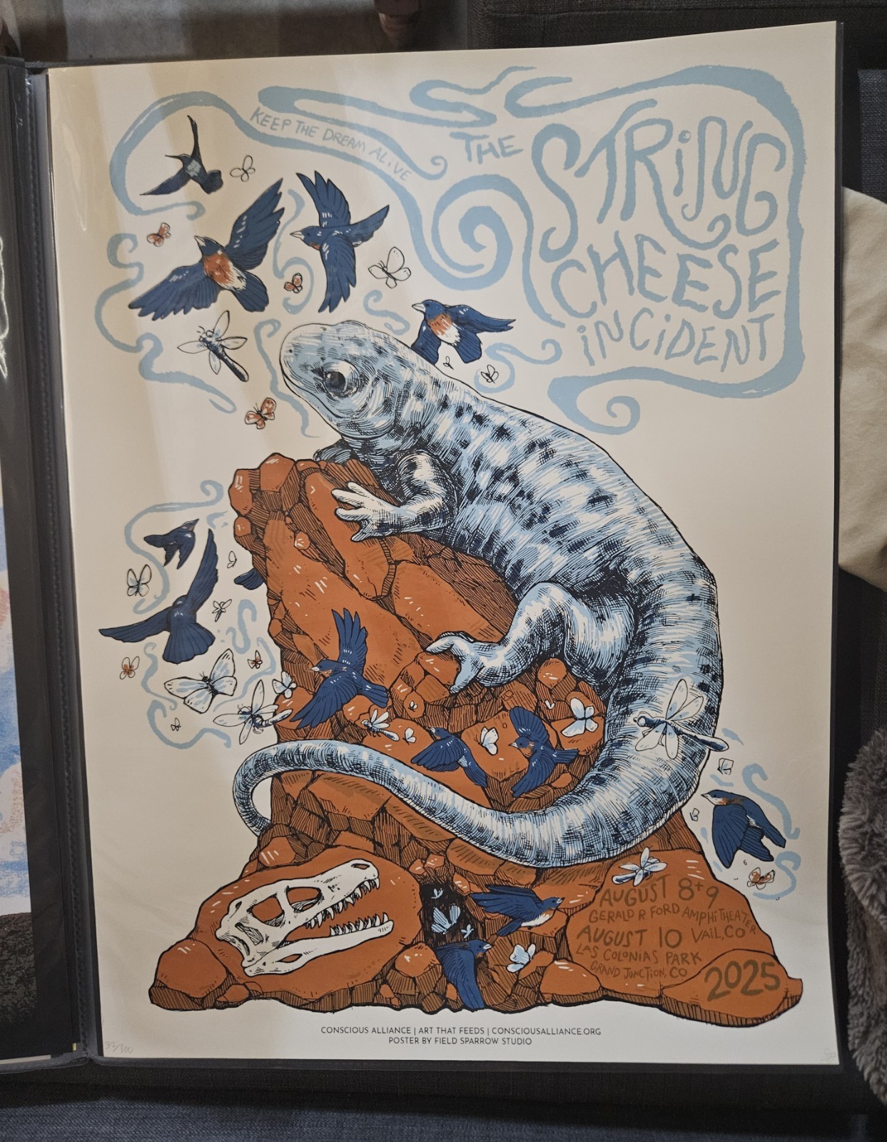2025 Poster Vail & Grand Junction Colorado /300