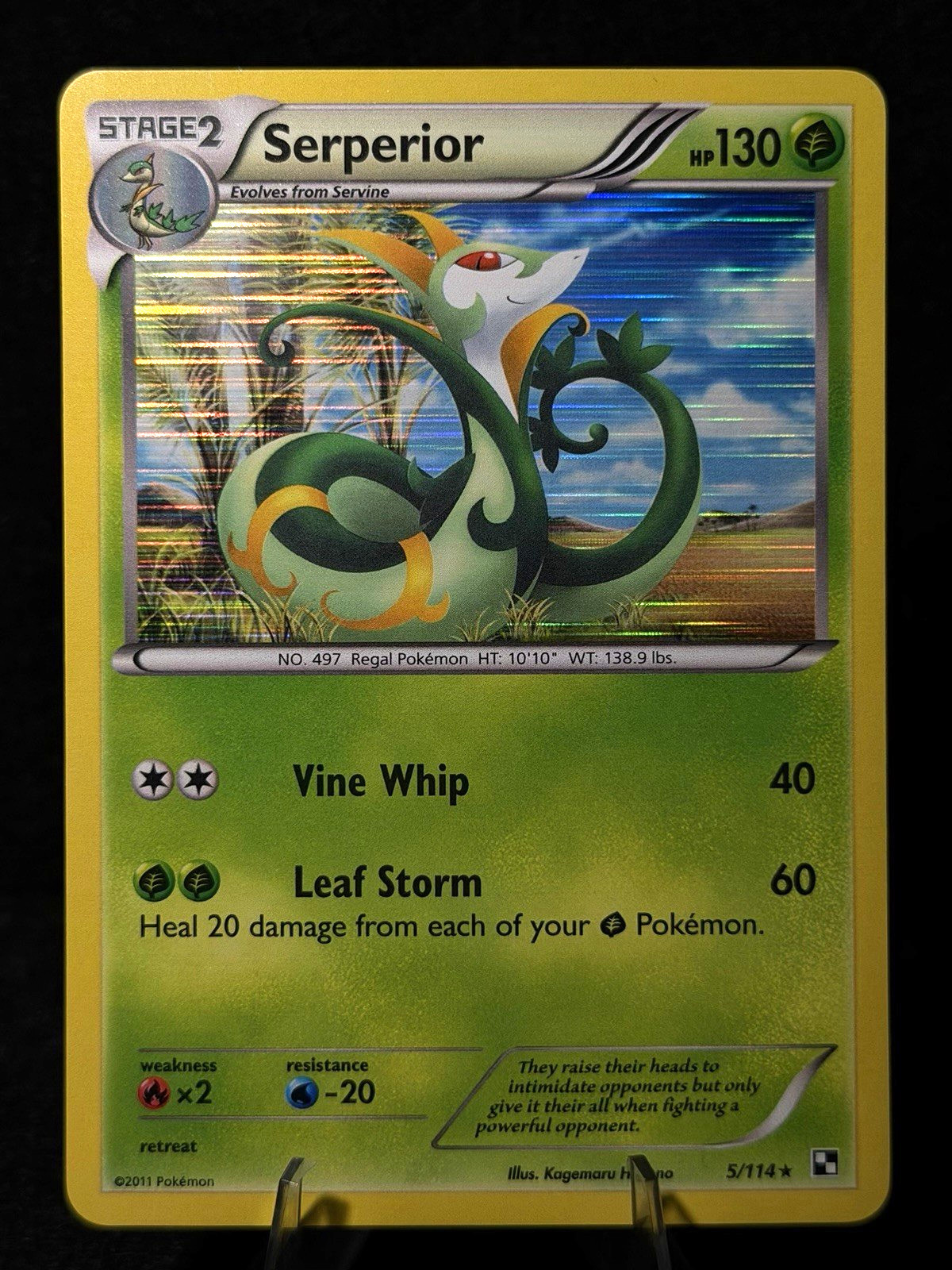 Pokemon TCG Serperior 5/114 Black & White Holo NM