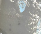 Bild 9 von 9