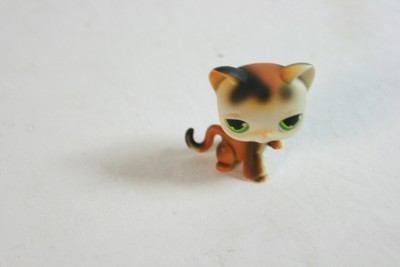 lps calico cat
