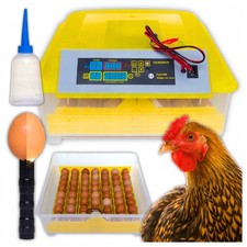 Automatischer Eierbrutapparat f&uuml;r 56 Eier, 80 W, Gefl&uuml;gel