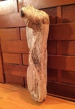 Beautiful 11" DRIFTWOOD Art Piece Terrarium Taxidermy Aquarium Beach DECOR