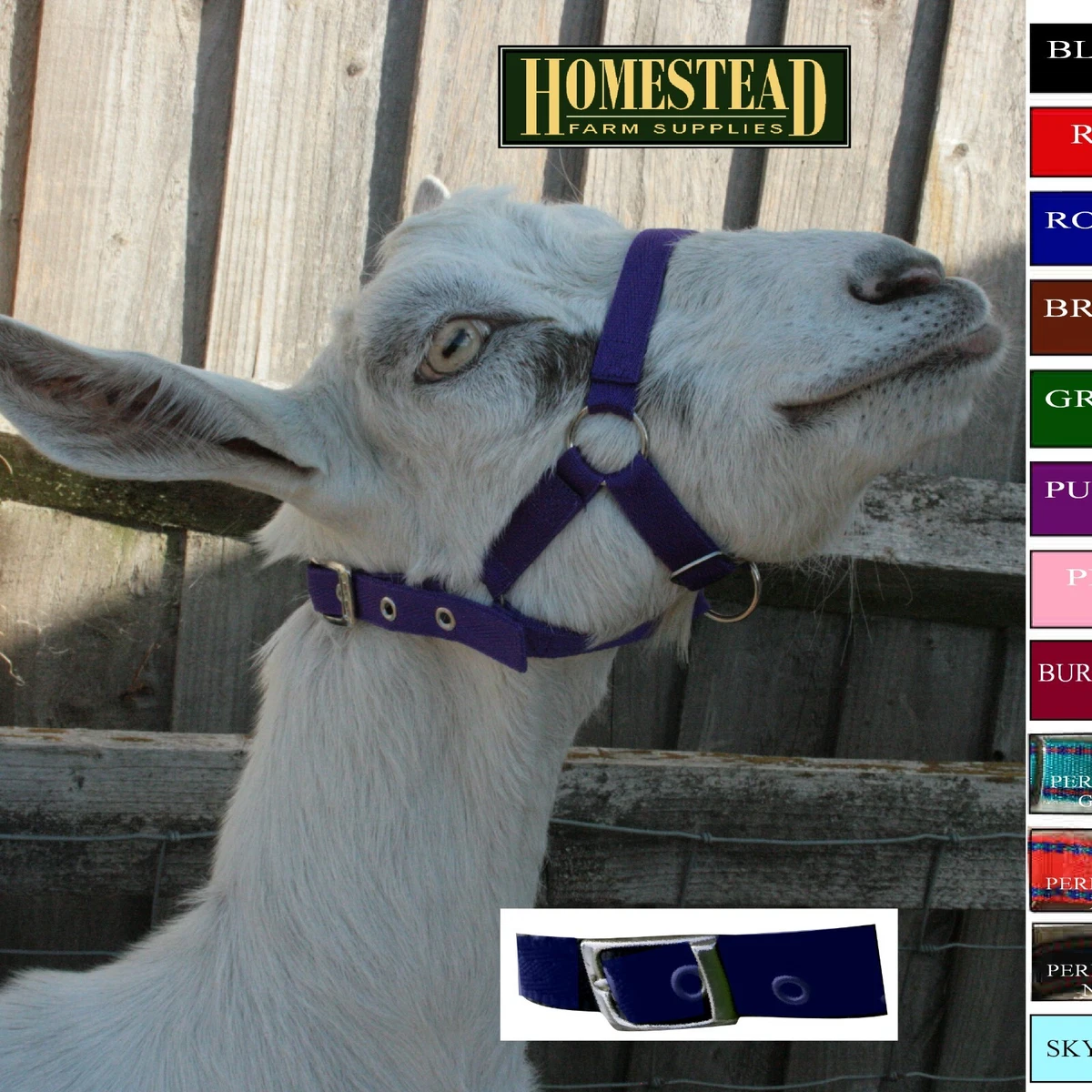 Goat HEADCOLLAR Halter Buckle Fastening 7 Colours 5 Sizes eBay
