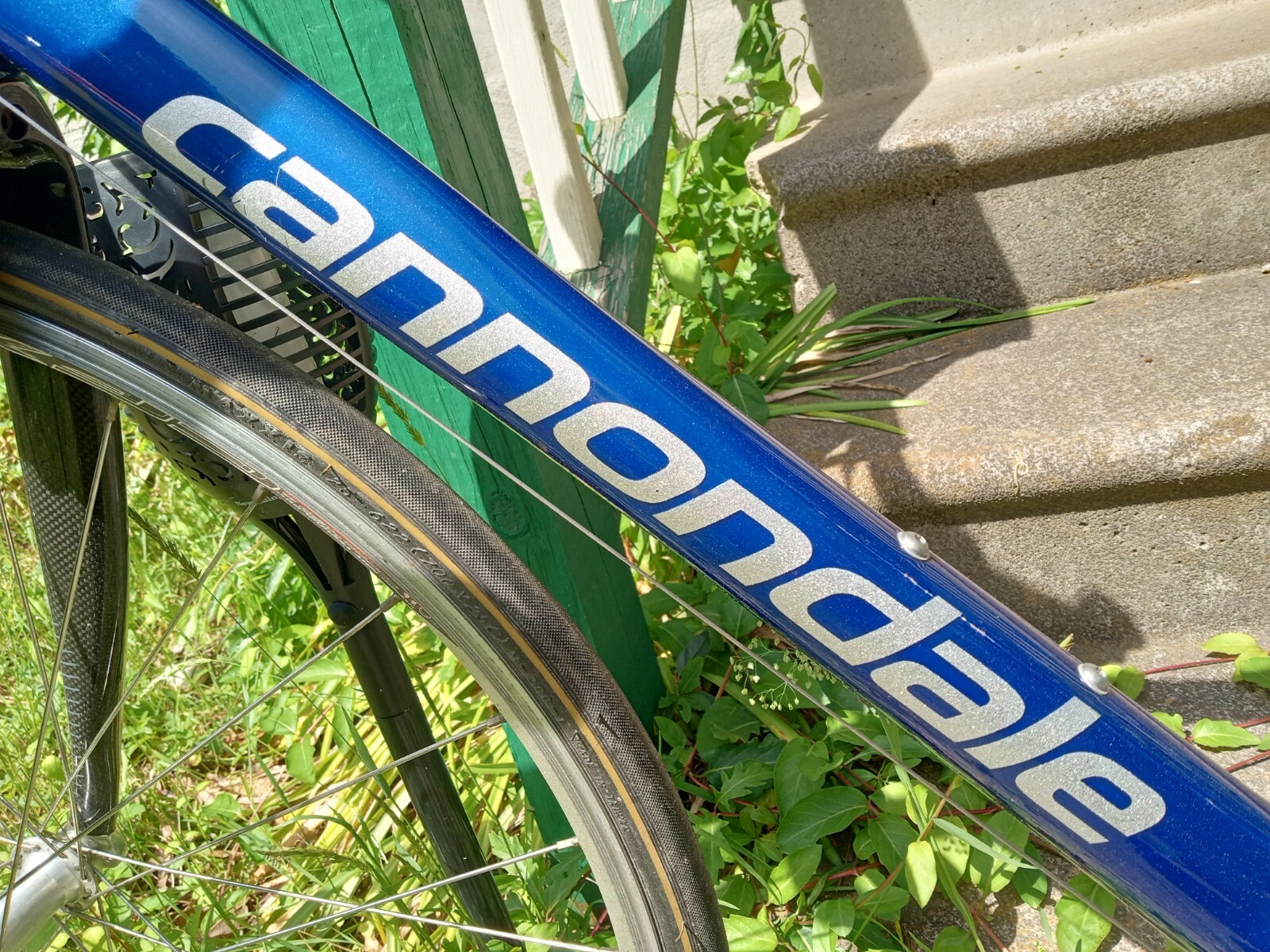 Awesome Condition Cannondale Synapse w/Carbon Ultra Fork Road/Gravel Size L  54cm – ASA College: Florida