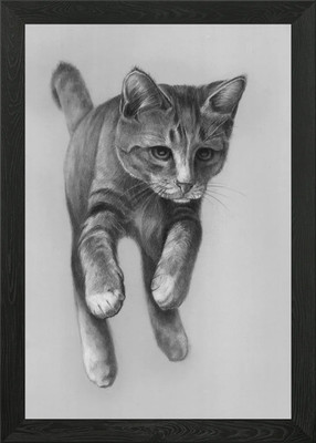 Katze gerahmtes Wandbild Poster Leinwanddruck Bild