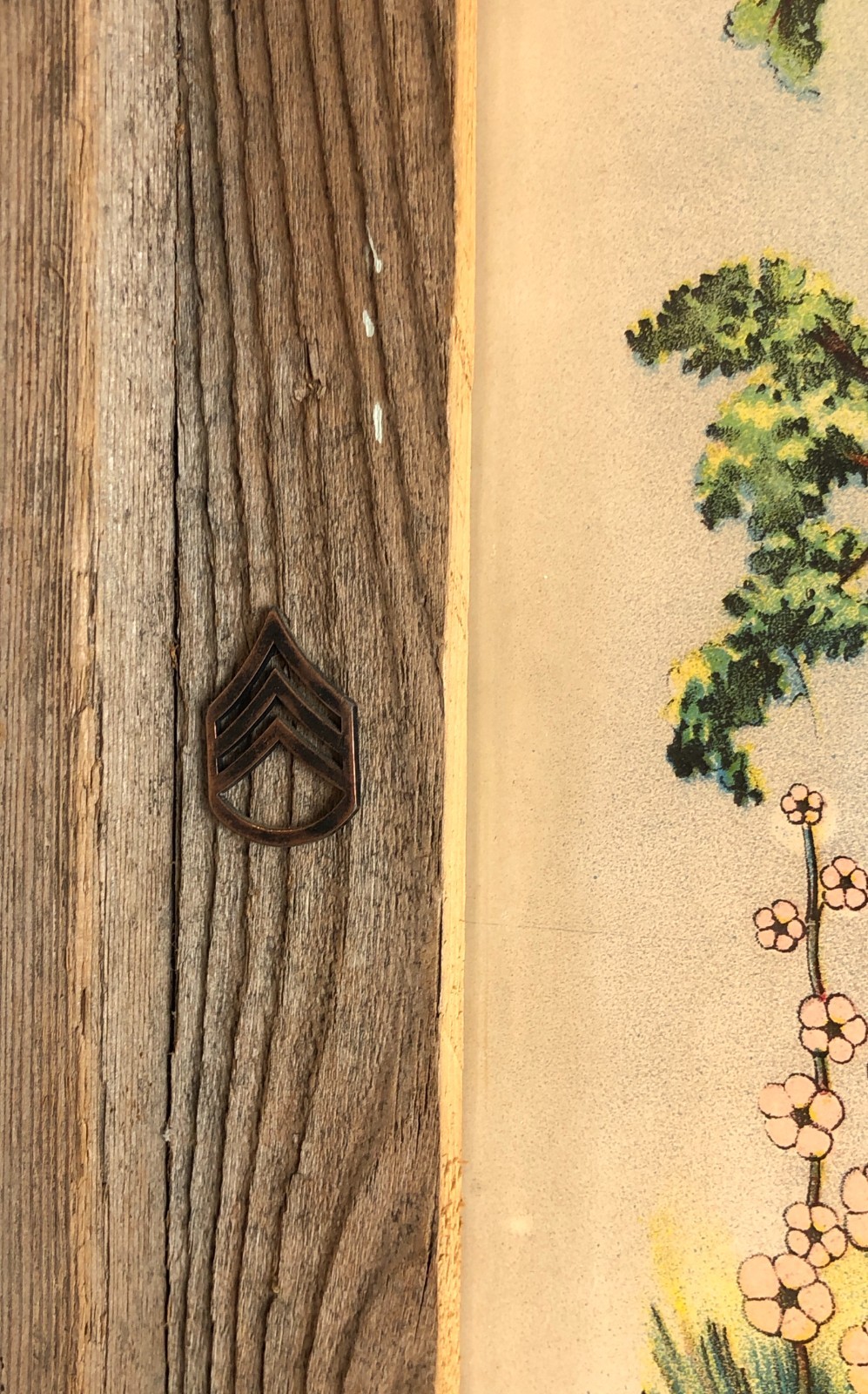 Picture 3