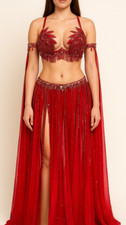 Professional Egyptian Belly Dance Dress   Handmade, Customizable Colors  Sizes