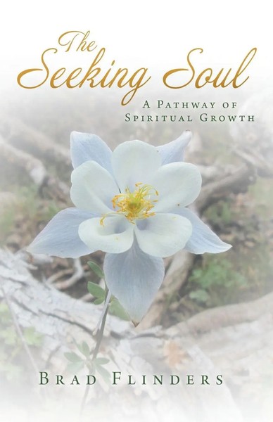 The Seeking Soul A Pathway Of Spiritual Growth Brad Flinders Taschenbuch 2014-image