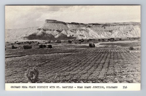Grand Junction CO-Colorado, Pfirsichgarten, Mount Garfield, alte Postkarte
