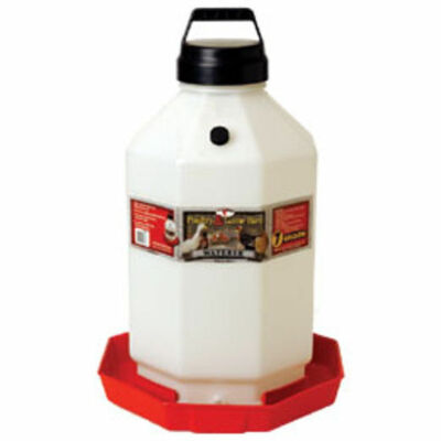Poultry Game Bird 7 Gallon Waterer Chicken Easy Carry