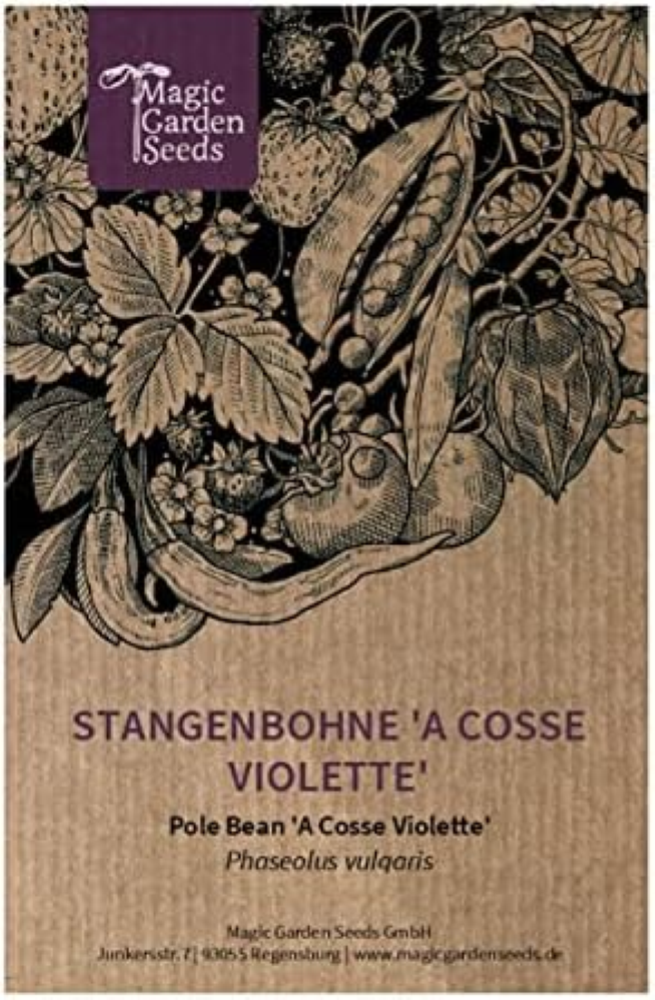 Fagiolo rampicante 'A Cosse Violette' (Phaseolus vulgaris) - circa 30 semi