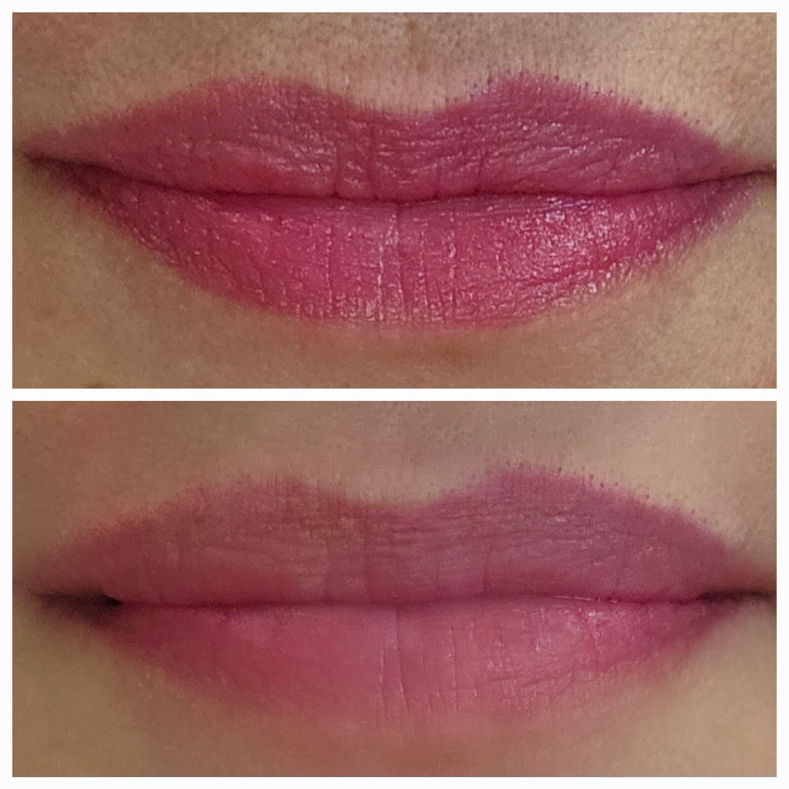 bpure Tinted Rose Oil Lip Balm Dollar Tree tiktok famous PH