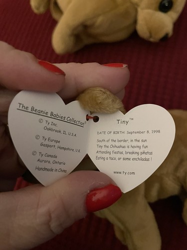 Ty Beanie Baby Tiny Neu mit Etikett Protector Mint Retired Rare - Bild 4 von 6