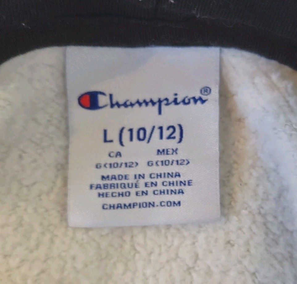 Champion Hoodie Youth L 10-12 Gray Heather Pullover Spell-Out Logo Drawstring image 5