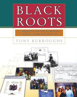 Black Roots : A Beginners Guide to Tracing the African American F