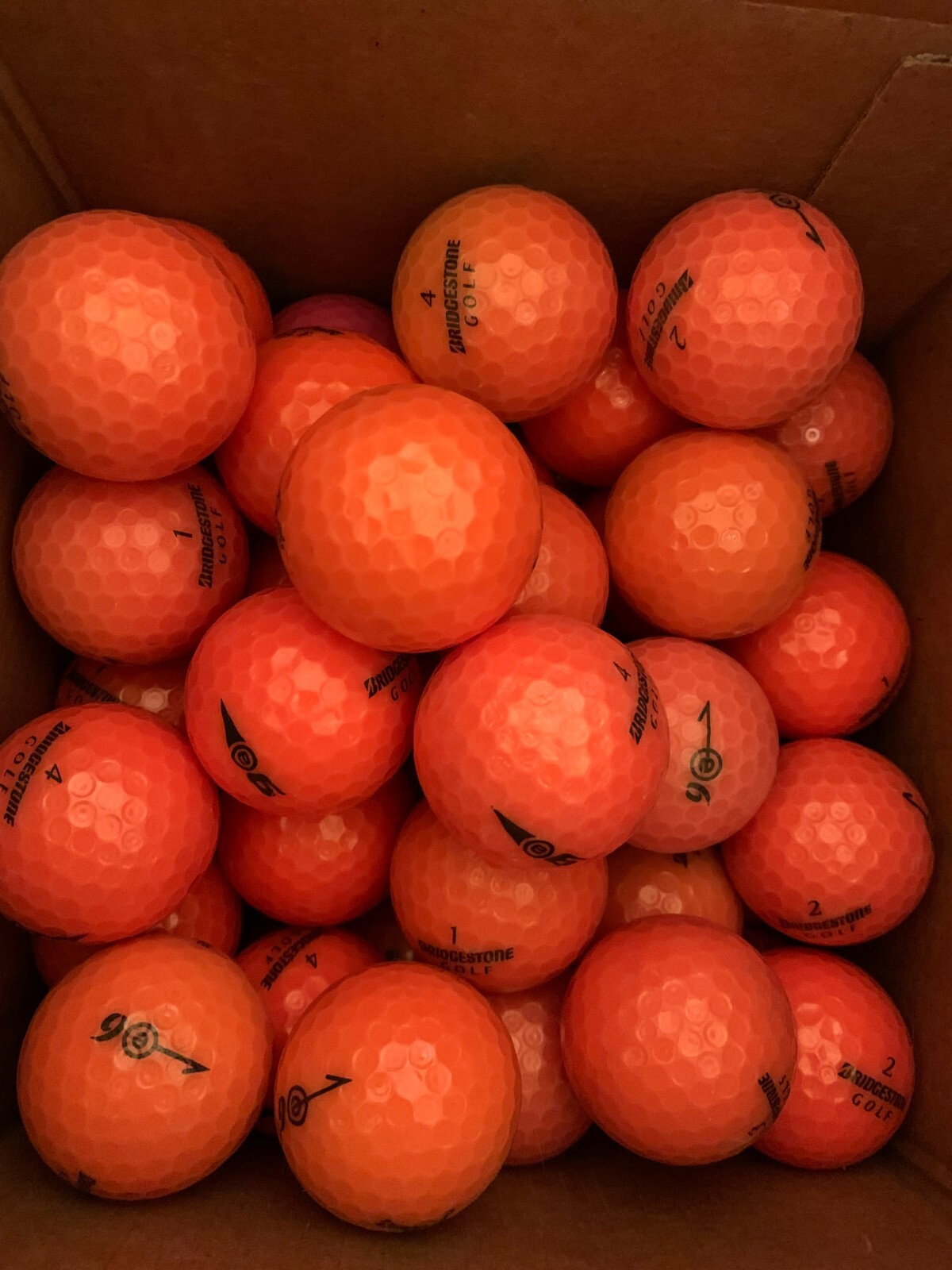 4 Dozen (48) Orange Bridgestone E6 Used Golf Balls AAAA-AAAAA Near Mint to Mint