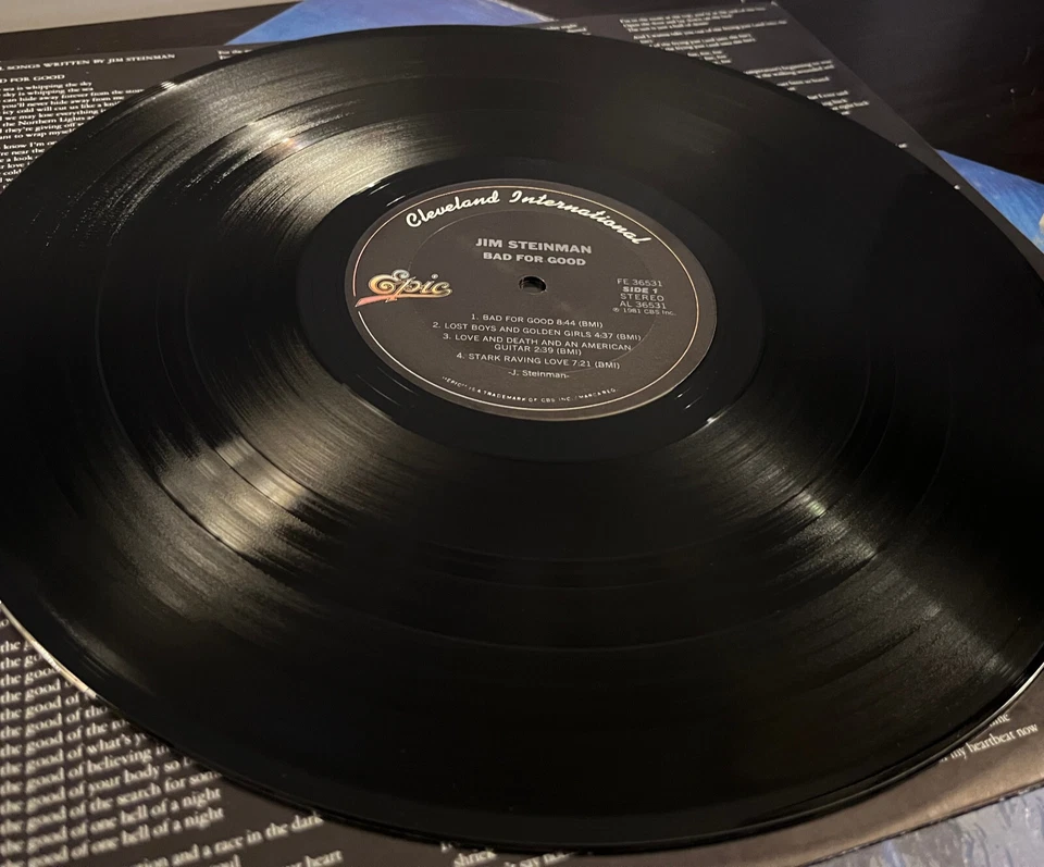 JIM STEINMAN - Bad For Good (w/ 7" EP) (1981) - 12" Vinyl Record LP - EX - Image 4 of 4