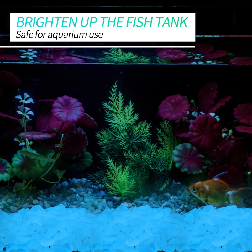 Piedras pequeñas guijarros luminosos 900 piezas que brillan en la oscuridad rocas decoraciones exteriores Foto 2 de 4