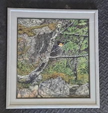 Beverly G Bairstow Rufous Sided Towhee