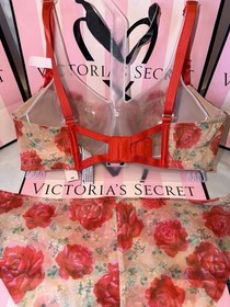 Victoria's Secret Dream Angels Bra 34D Small Cheekini Embroidered Floral