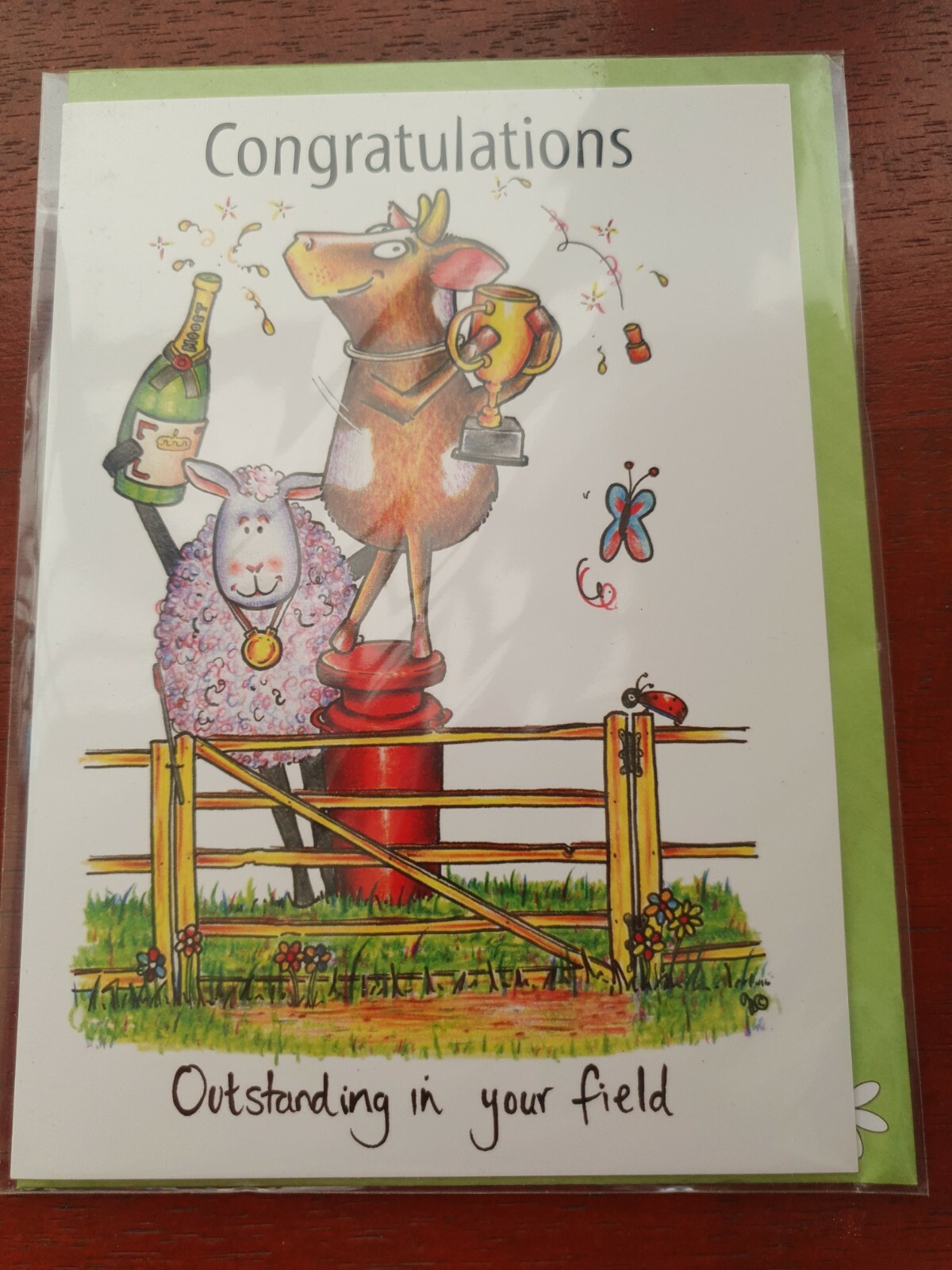 Funny CONGRATULATIONS card Outstanding in your Field HUMOUR Farm greetings card