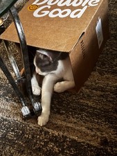 cat accessories