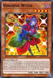 Vengeful Witch DOOD-EN004 Doom of Dimensions Super Rare 1st Edition