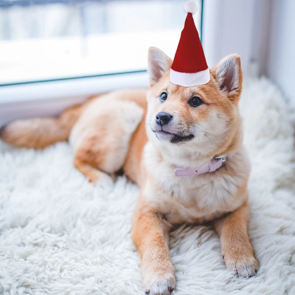 Mini Knitted Pet Hats Dog Outfits for Small Dogs Xmas Doll Scarf - Image 2 of 4