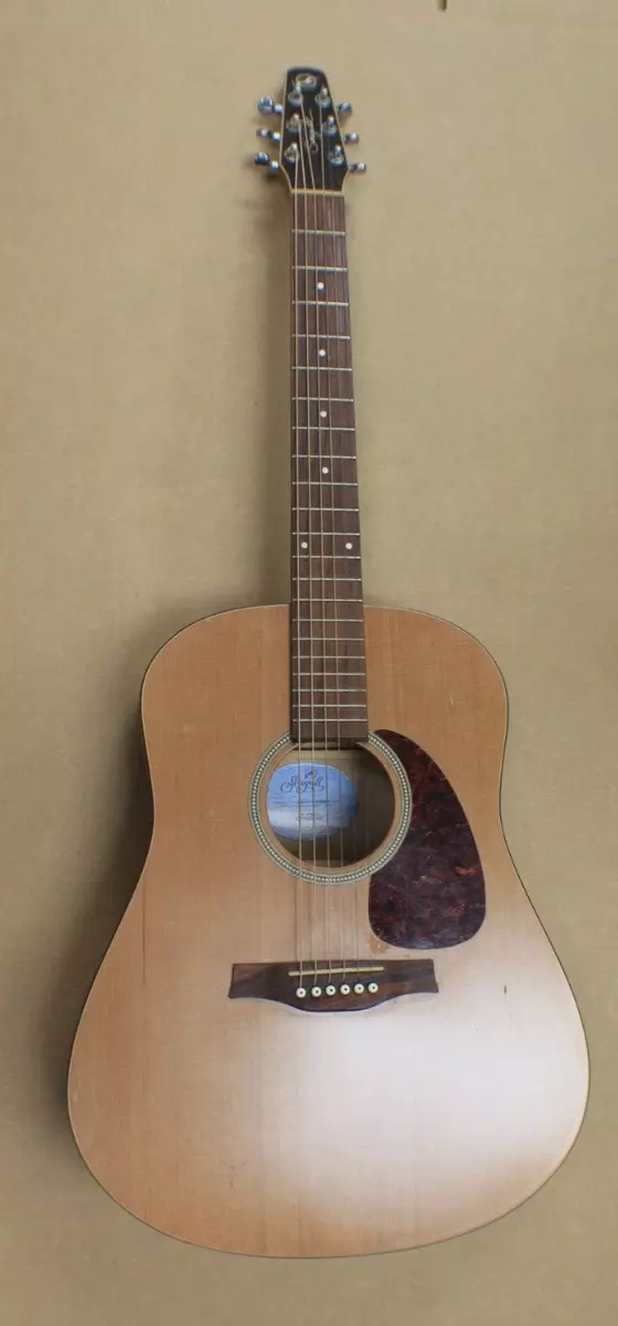 Seagull 2024 s6 strings