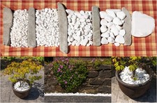 Decorative Super WHITE Pebbles Stones  Gravel Greek Thassos Best Value