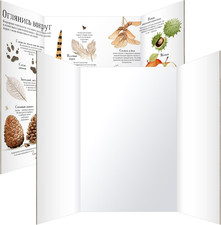 Trifold Poster Board 36 x 48 White 2 Pack Foldable for School Projects